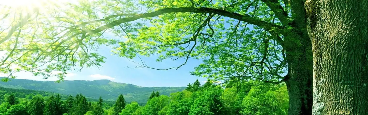 La fonte Acquariana Coazze